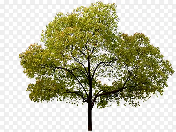 ��������̤�����-������