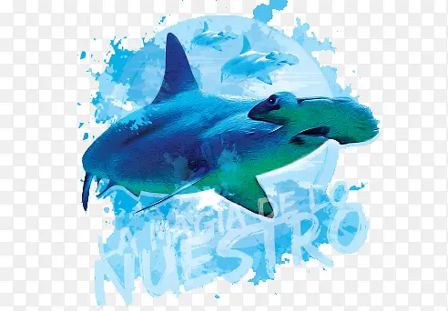 ��ɫˮ�ʱ����㱳��-������