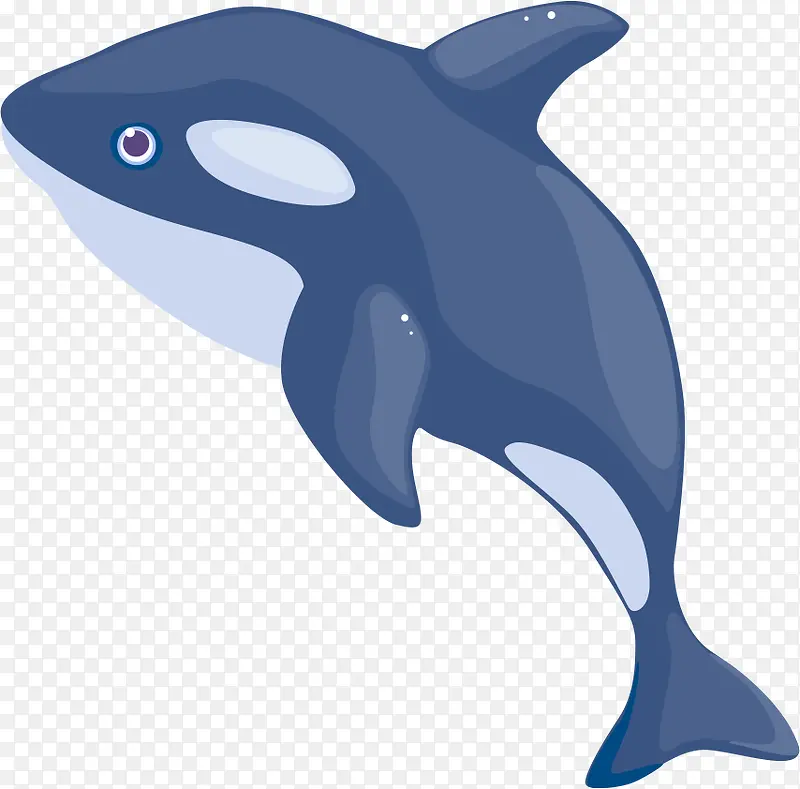 ��ͨ����-������