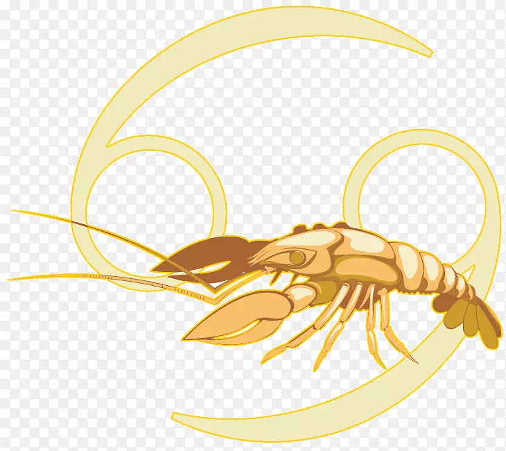 ����Ħ�����з�°�֢ռ����-������