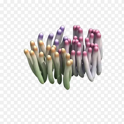 ��ɫ�Ѻ���-������