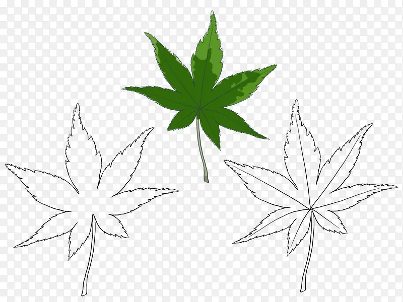 �ֻ��Ҷ-������