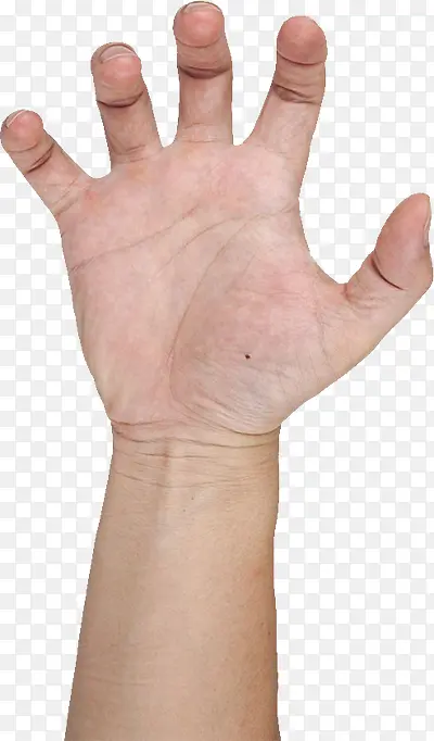 ������ָ����-������