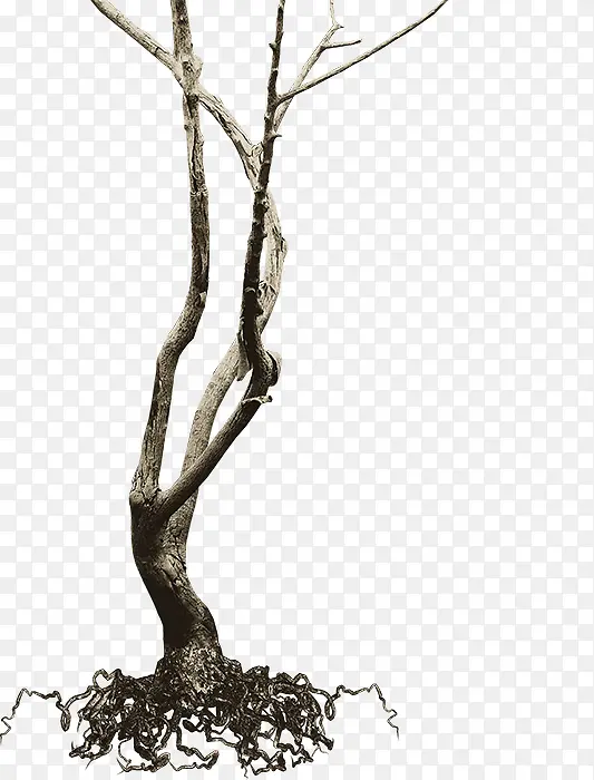 ���崴����Ӱ����Ŀ�ľ-������