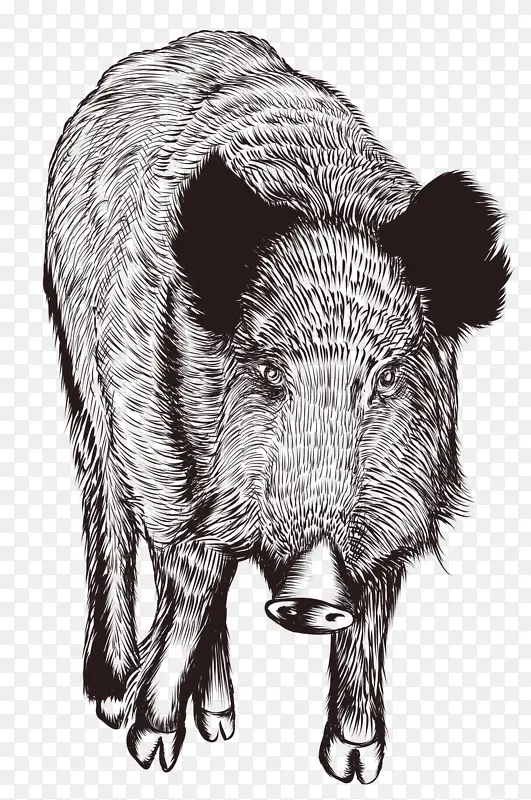 ��ͨ�ֻ涯��-������