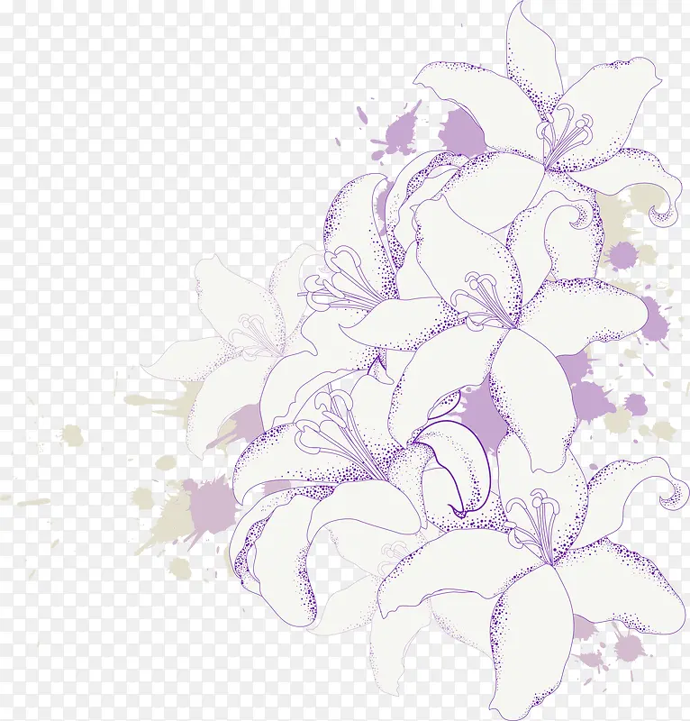 ��ɫ��������-������