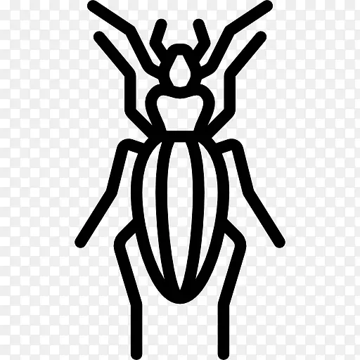 ��ɫ�ĵ���׳�ͼ��-������