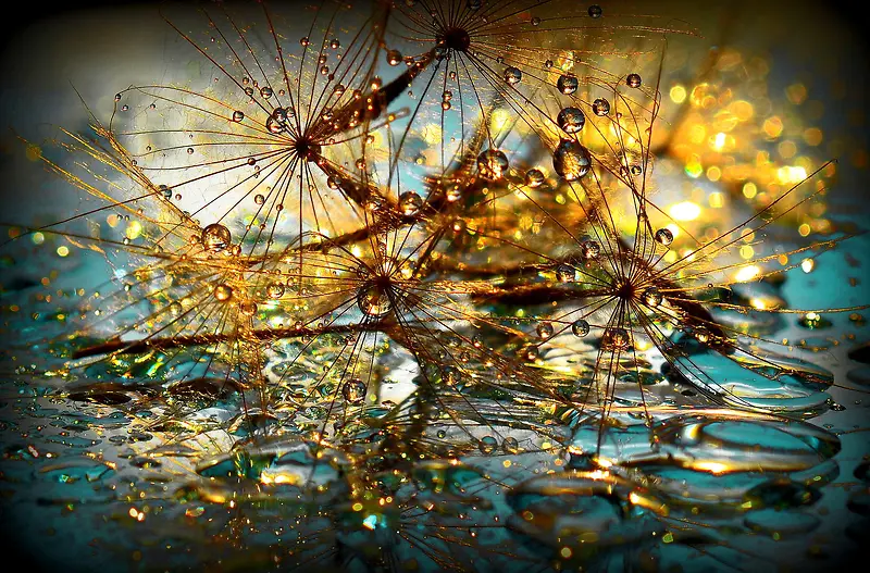 ������Ӱ�������-������