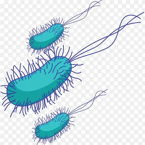 ë״�岡��ϸ��-������