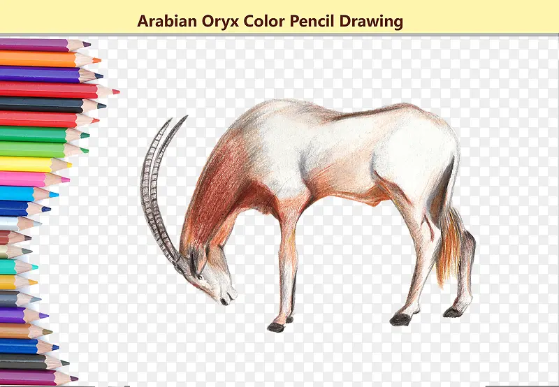 �ֻ�����ͨ�ֻ�ͼ-������