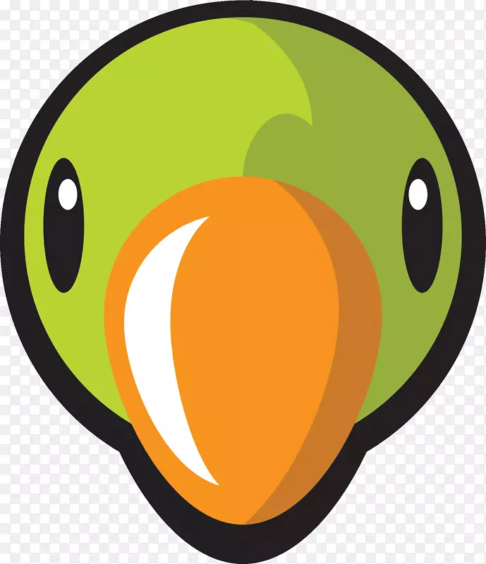 ��ɫ���Ĳ�����־����-Narendra Modi-������