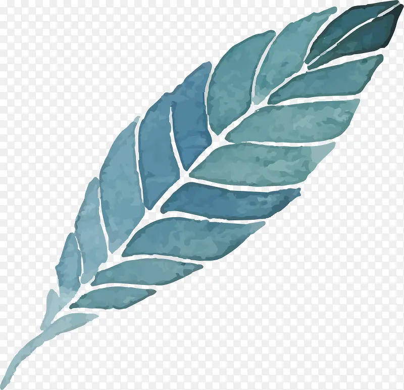 ˮ�ʻ���ֲ��-������