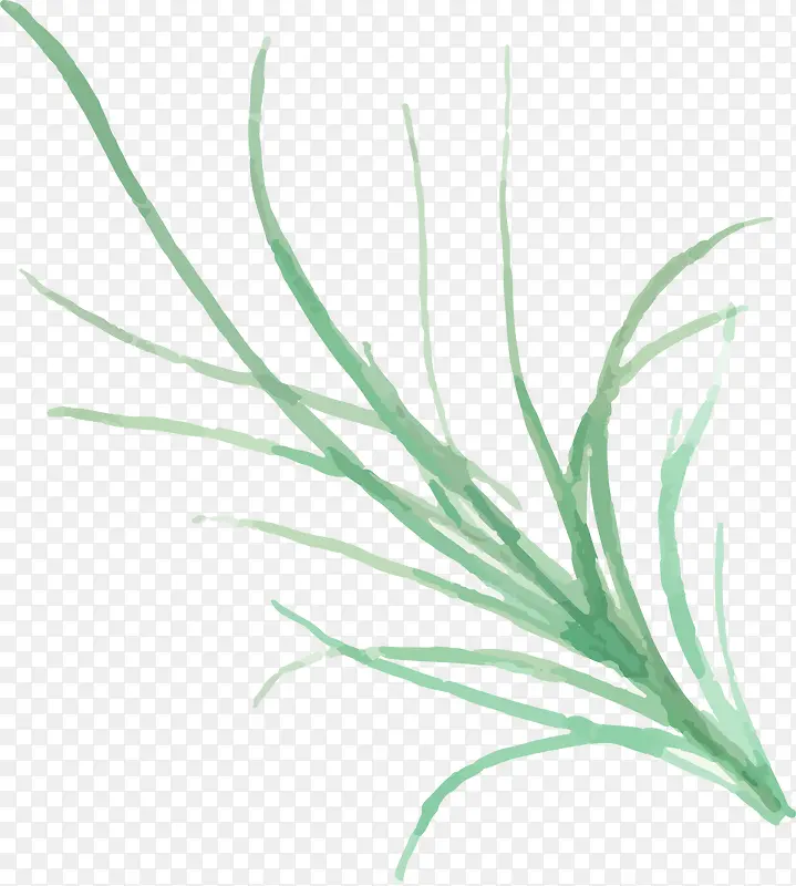 ˮ�ʻ���ֲ��-������