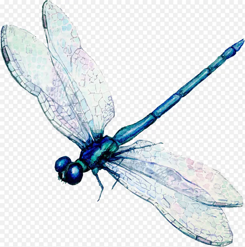 �ֻ涯��-������