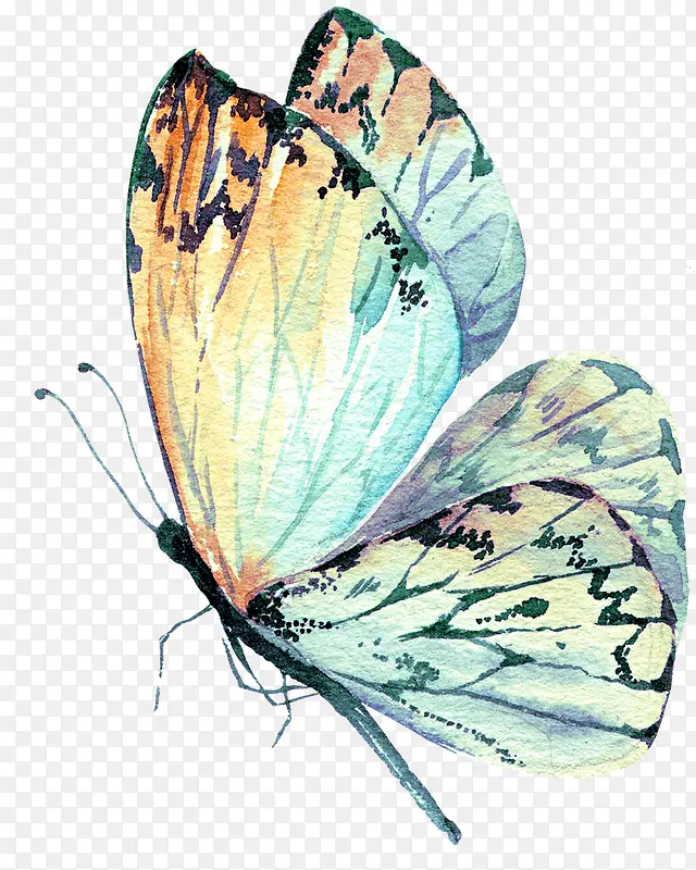 �ֻ涯��-������