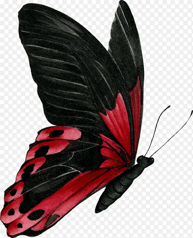 ����廭-������