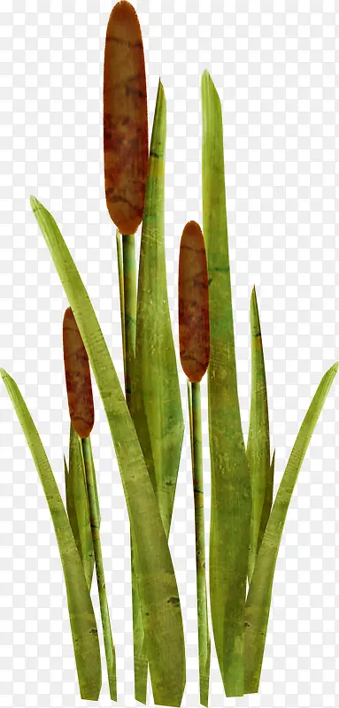 ˮ��С��-������