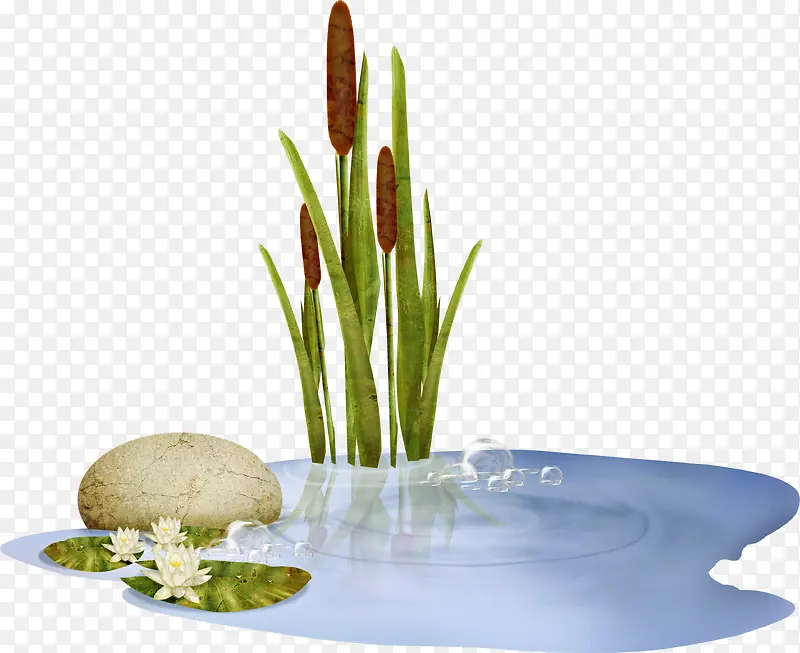 ˮ��С��-������