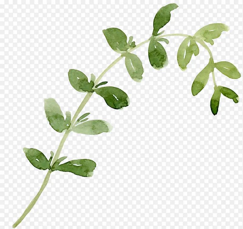 �ֻ���֦-������