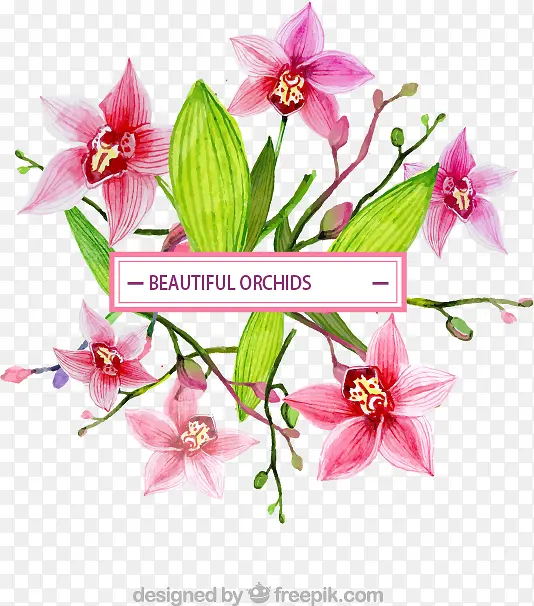 ˮ�ʻ��������������������-������