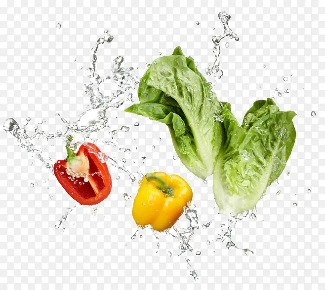 �����߲�-������