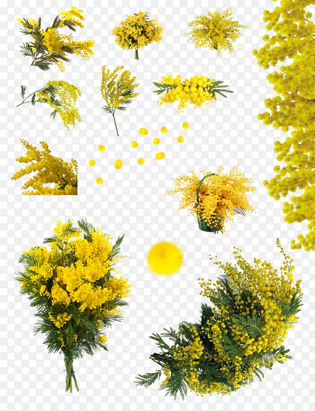 �������辰png�ز�-������