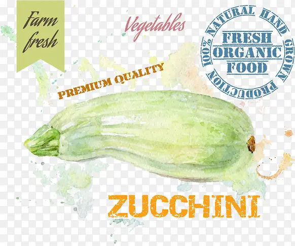 �ƹ��߲˻滭���ʸ���ز�-������