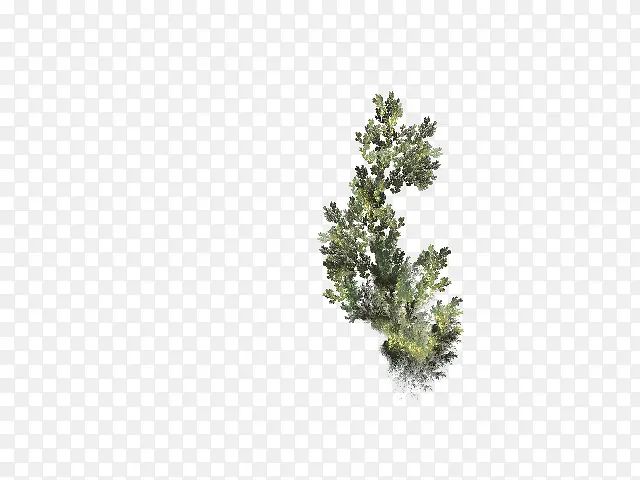 ��֦-������