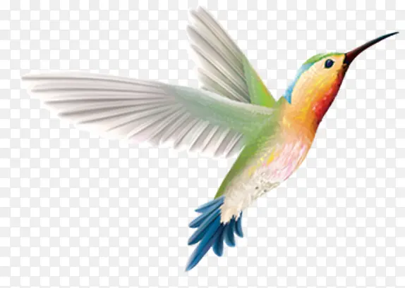 �ֻ��ɫ����С��-������