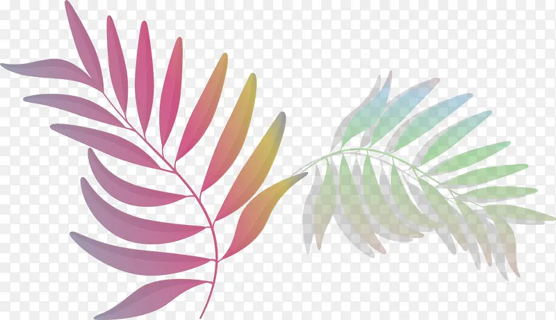 Ψ�����Ҷ��-������