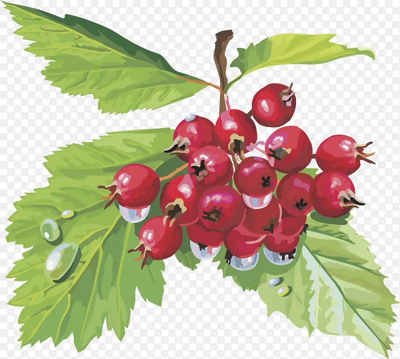 ӣ�� ˮ��ʸ��ͼ-������