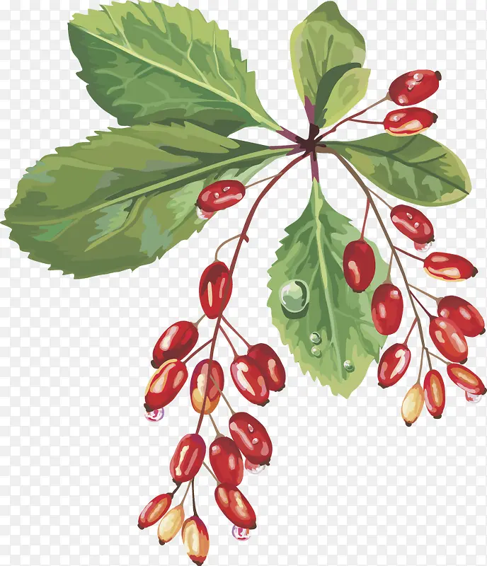 ˮ��ʸ��ͼ���Ѻ���-������