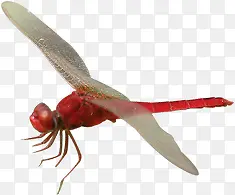 ���շ�����������-������