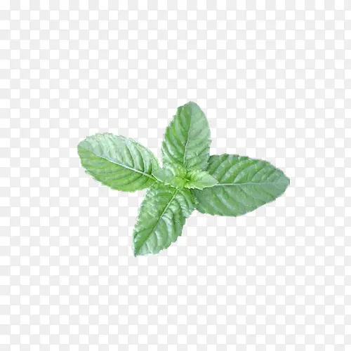 ���˲� ���۲�-������