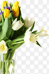 ��ɫ���»�������-������