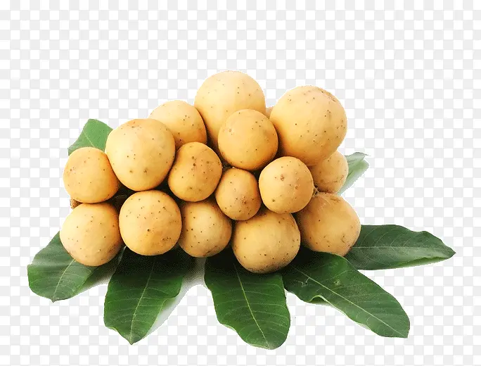 ��ɫ����ˮ��-������