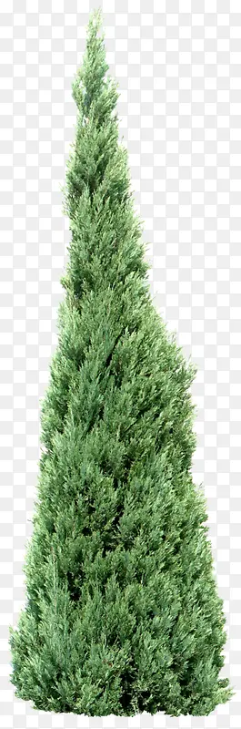 ������Ӱ��ɫ������-������