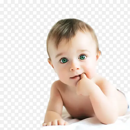 ҧ��ָС����ֽ�ز�-������