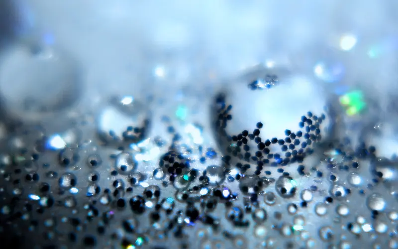 ¶�鱳��-������