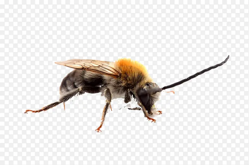 ë�޵������������ز�-������