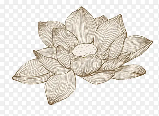 �ֻ�����-������