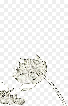 ��ɫ�ֻ��Լ����-������