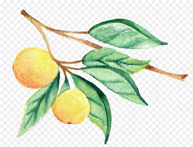 ˮ�ʹ�ʵ-������