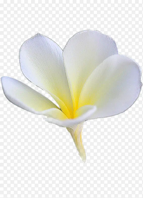 �߿������ز��λ������ز�-������