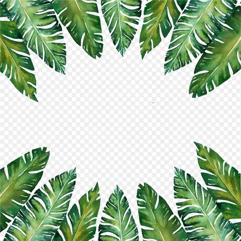 Ҷ��ˮ��Ϳѻ�ز�-������