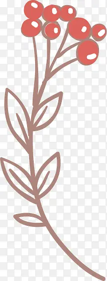 ��֦�ϵĺ�ɫ���ӿ�ͨŷʽ����-������