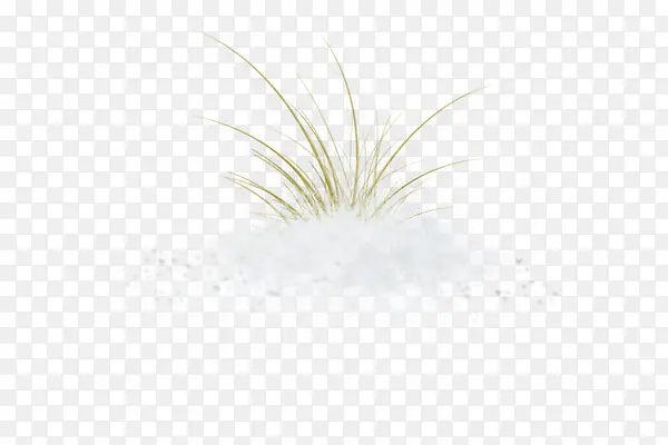 С��-������