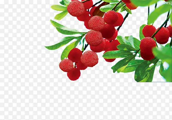 ��÷-������