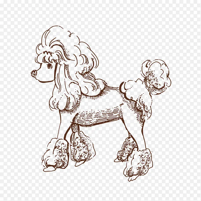 ��ͨ���� ��ͨ-������