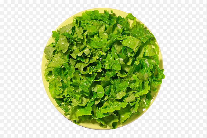 ��ɫ����Ҷ-������